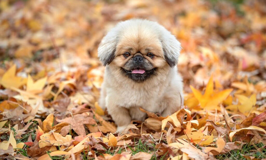 介護派遣のデメリットとは何か？