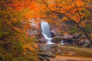 介護面接で落ちる人の共通点とは？