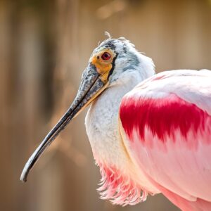 介護転職に必要な職務経歴書の書き方は？
