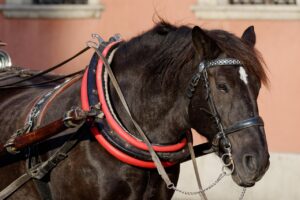 介護転職エージェントを利用した人の口コミはどうなっている？