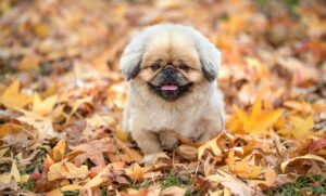 介護の夜勤が嫌いなあなたに知ってほしい対策は？