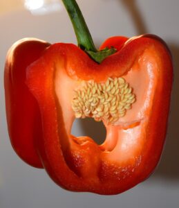 介護エージェントの仕組みとはどのようなものですか？