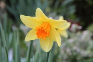 福利厚生が充実した介護の求人はどこで探せる？