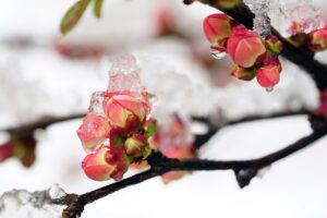 かいごGardenの評判はどうなっているの？