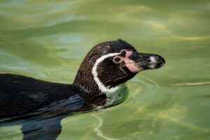 きらケアの評判は本当に良いのか？