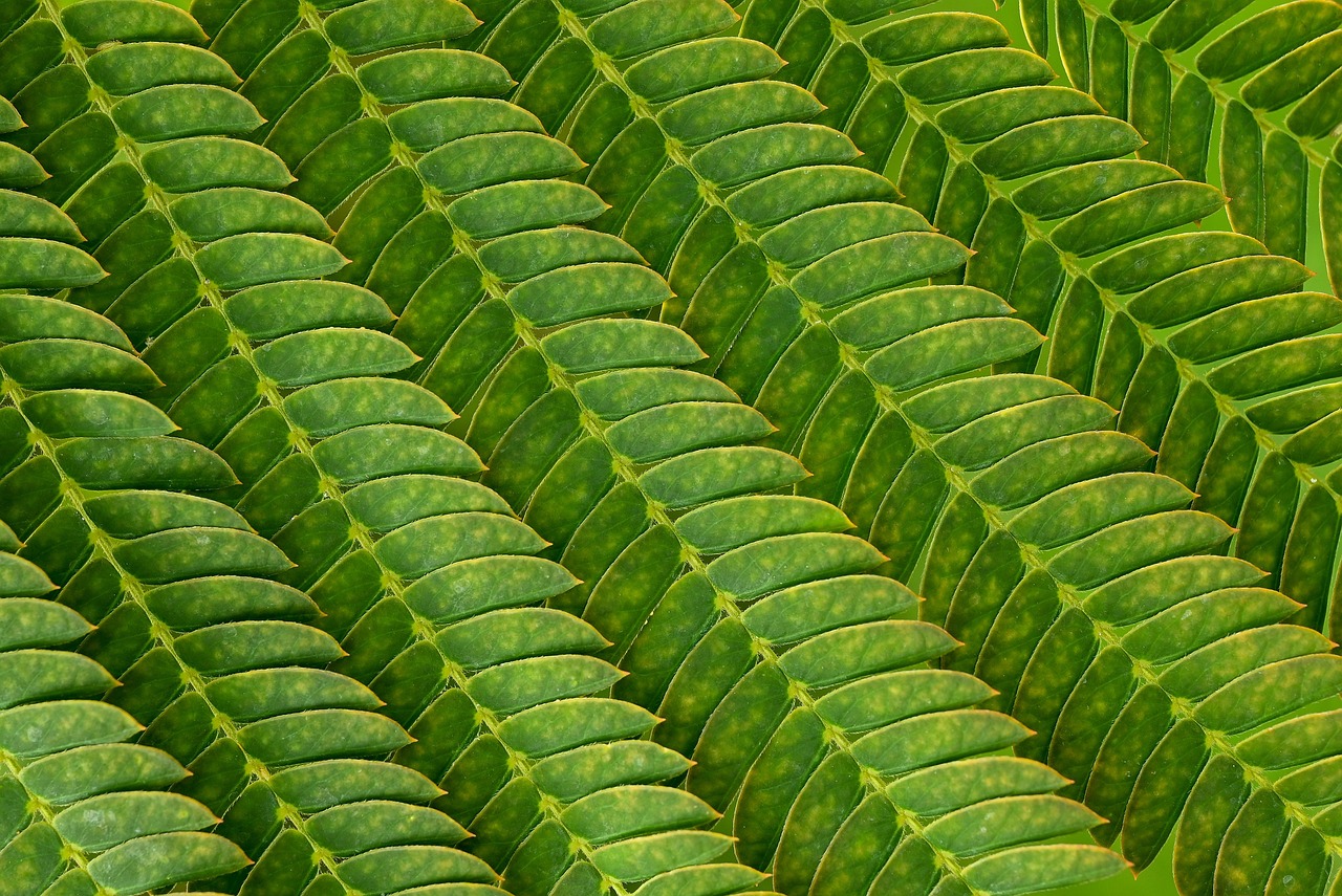 介護職からデイサービスへの転職を成功させるためのポイントは？