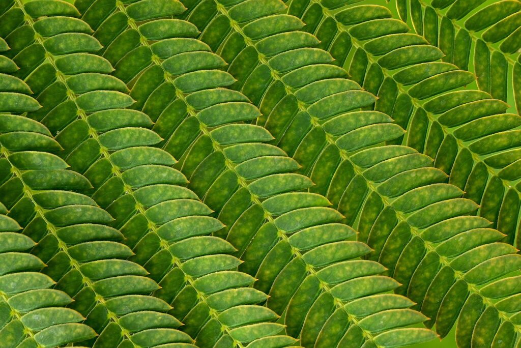 介護職に未経験から挑戦するための志望動機は？