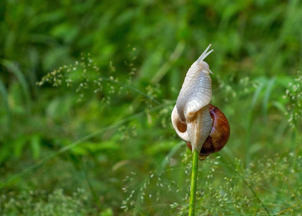 介護職の志望動機に役立つ未経験者向けの例文は？