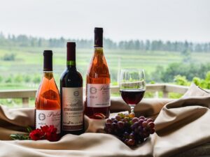 介護転職の面接で知っておくべきマナーとは？