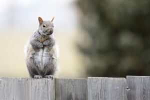 介護職は資格なしでも転職可能？成功の秘訣を徹底解説！